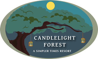 Candlelight Forest