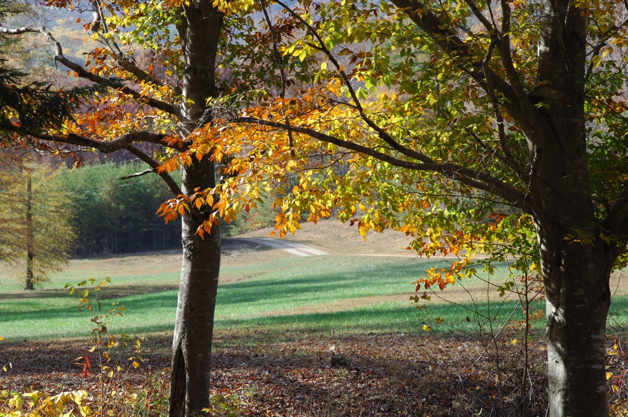 DSC_0003 DSC_0003