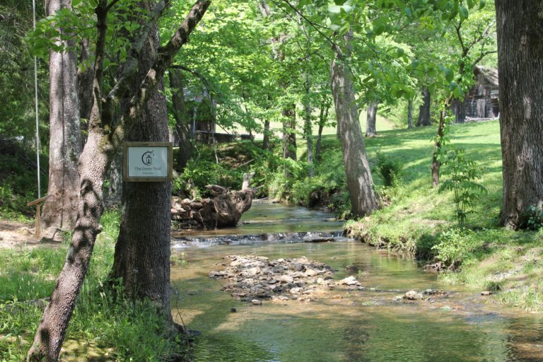 Visit Us NEW Cloudland Station