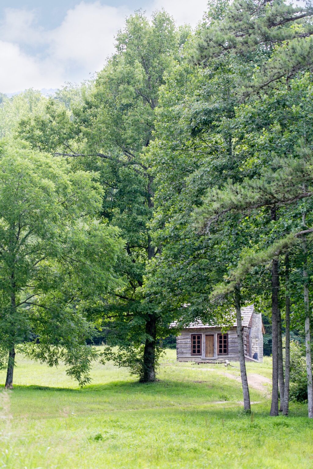 Home Community Northern Cloudland Station